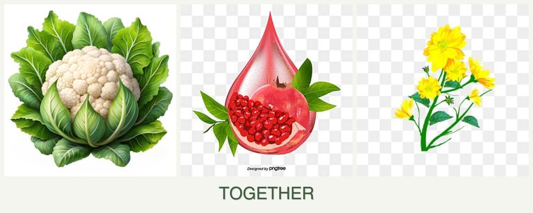 Can you plant cauliflower, pomegranates and calendula together?