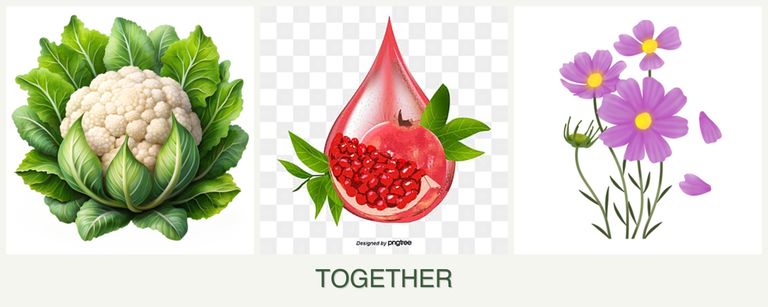 Can you plant cauliflower, pomegranates and cosmos together?