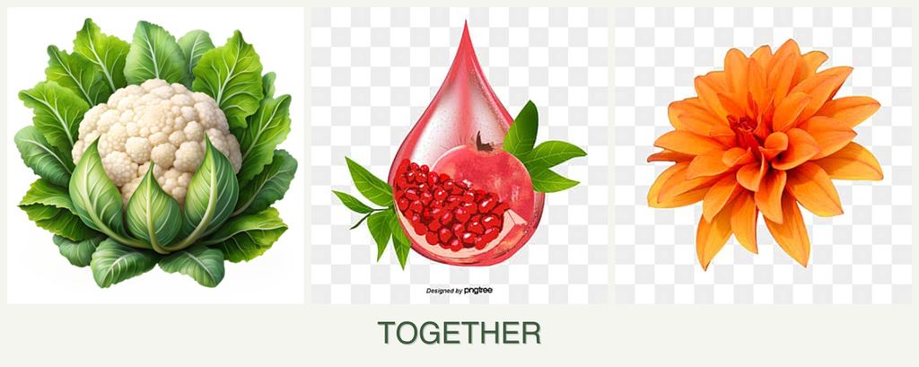 Can you plant cauliflower, pomegranates and dahlias together?