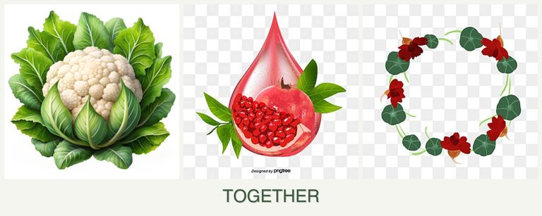 Can you plant cauliflower, pomegranates and nasturtiums together?