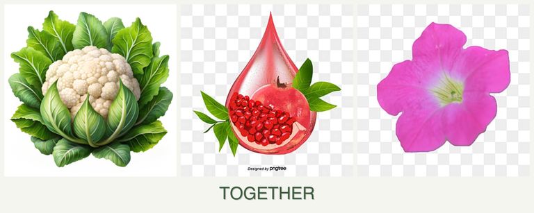 Can you plant cauliflower, pomegranates and petunias together?