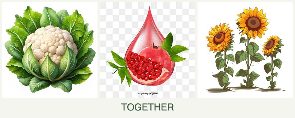 Can you plant cauliflower, pomegranates and sunflowers together?