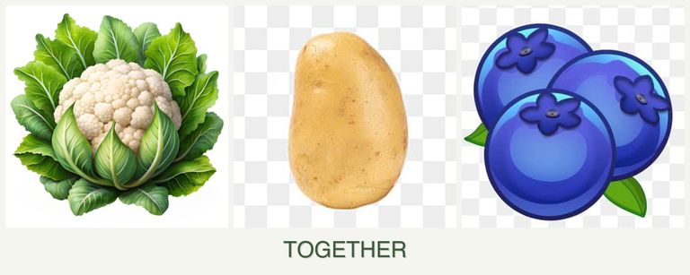 Can you plant cauliflower, potatoes and blueberries together?