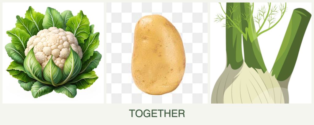 Can you plant cauliflower, potatoes and fennel together?