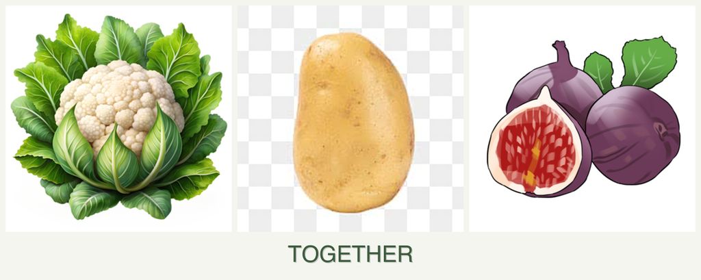 Can you plant cauliflower, potatoes and figs together?
