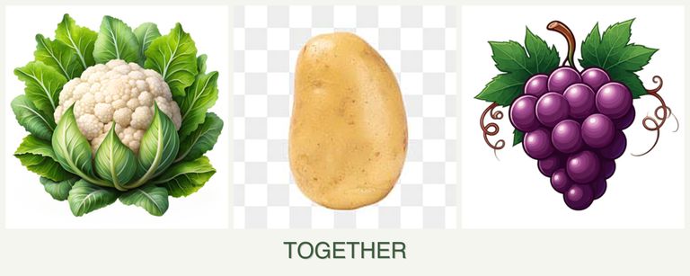 Can you plant cauliflower, potatoes and grapes together?