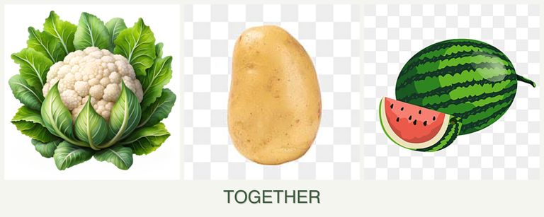 Can you plant cauliflower, potatoes and melons together?