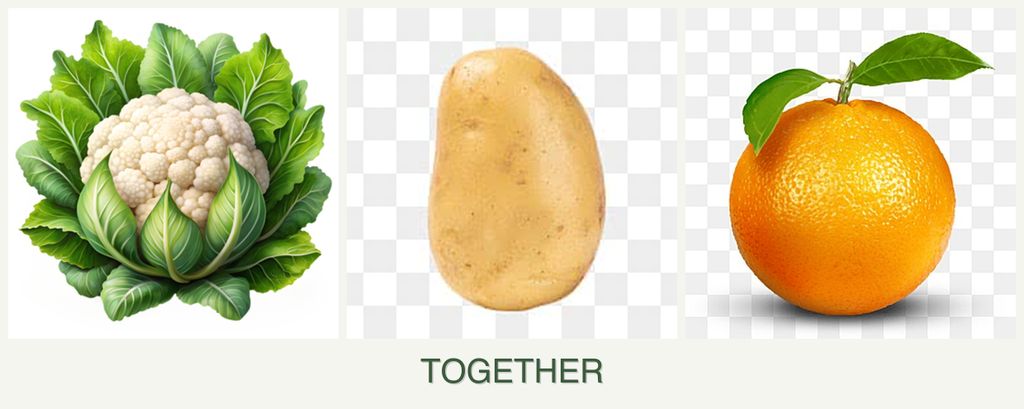 Can you plant cauliflower, potatoes and oranges together?