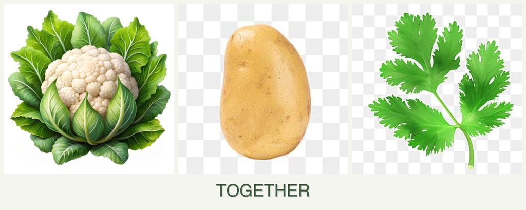Can you plant cauliflower, potatoes and parsley together?