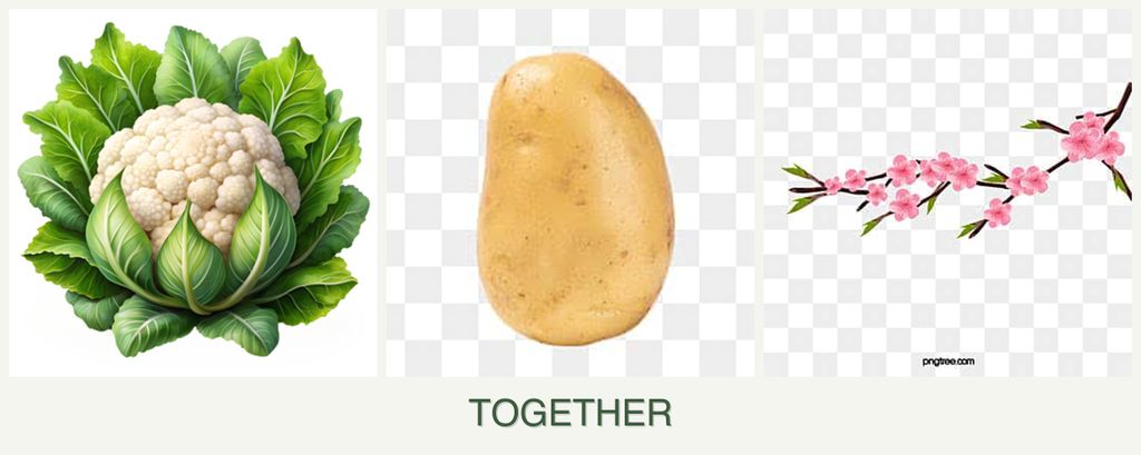 Can you plant cauliflower, potatoes and peaches together?
