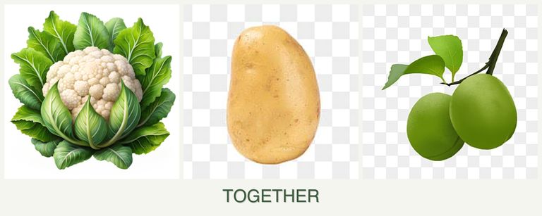 Can you plant cauliflower, potatoes and plums together?
