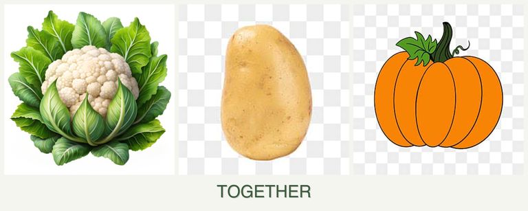 Can you plant cauliflower, potatoes and pumpkin together?