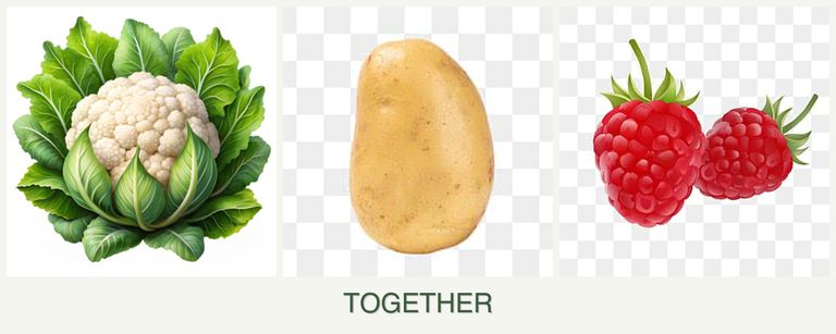 Can you plant cauliflower, potatoes and raspberries together?