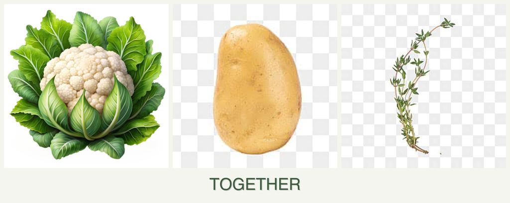 Can you plant cauliflower, potatoes and thyme together?