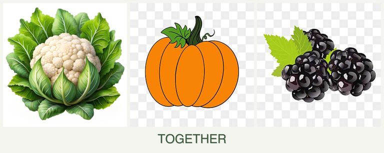 Can you plant cauliflower, pumpkin and blackberries together?
