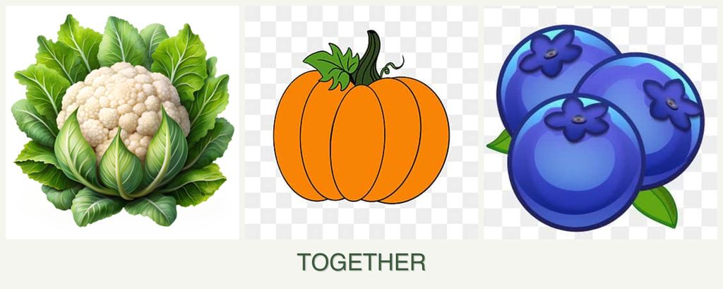 Can you plant cauliflower, pumpkin and blueberries together?