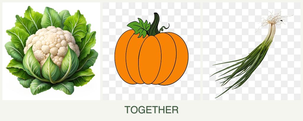 Can you plant cauliflower, pumpkin and chives together?