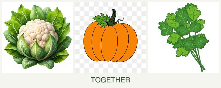 Can you plant cauliflower, pumpkin and cilantro together?