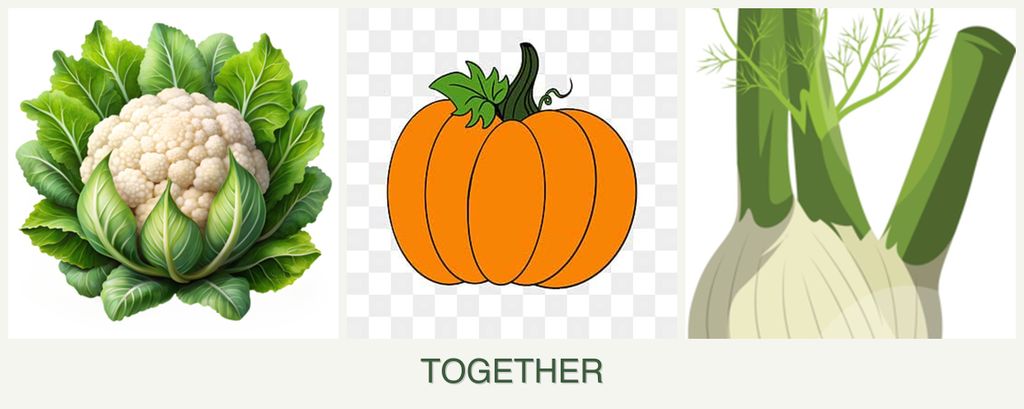 Can you plant cauliflower, pumpkin and fennel together?
