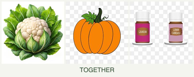 Can you plant cauliflower, pumpkin and geraniums together?