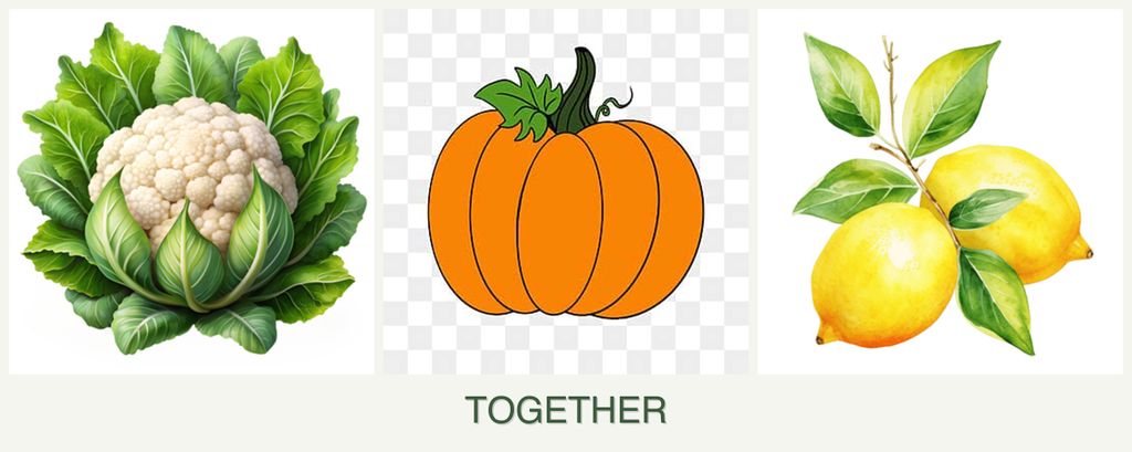 Can you plant cauliflower, pumpkin and lemons together?