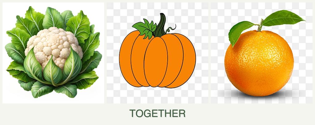 Can you plant cauliflower, pumpkin and oranges together?