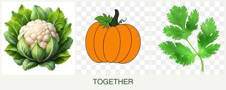 Can you plant cauliflower, pumpkin and parsley together?