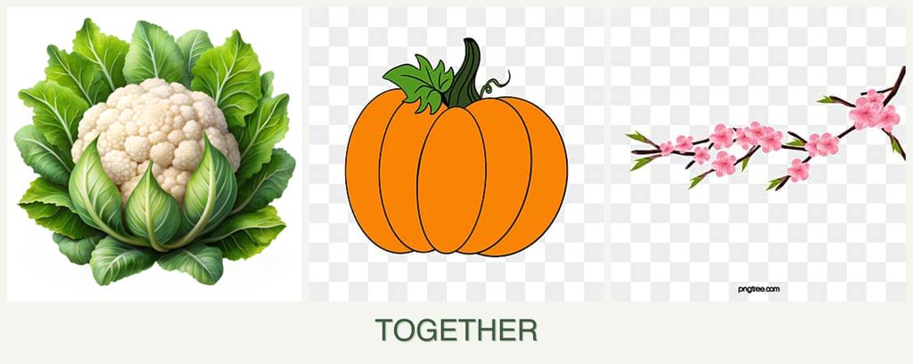 Can you plant cauliflower, pumpkin and peaches together?