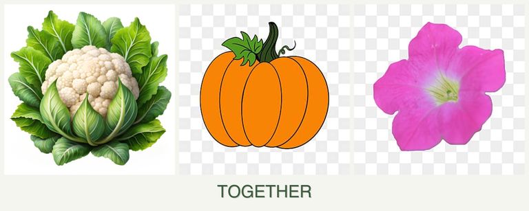 Can you plant cauliflower, pumpkin and petunias together?