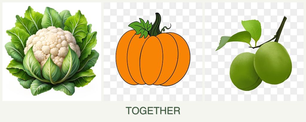 Can you plant cauliflower, pumpkin and plums together?