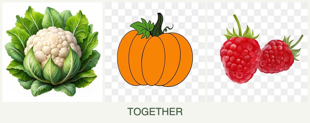 Can you plant cauliflower, pumpkin and raspberries together?
