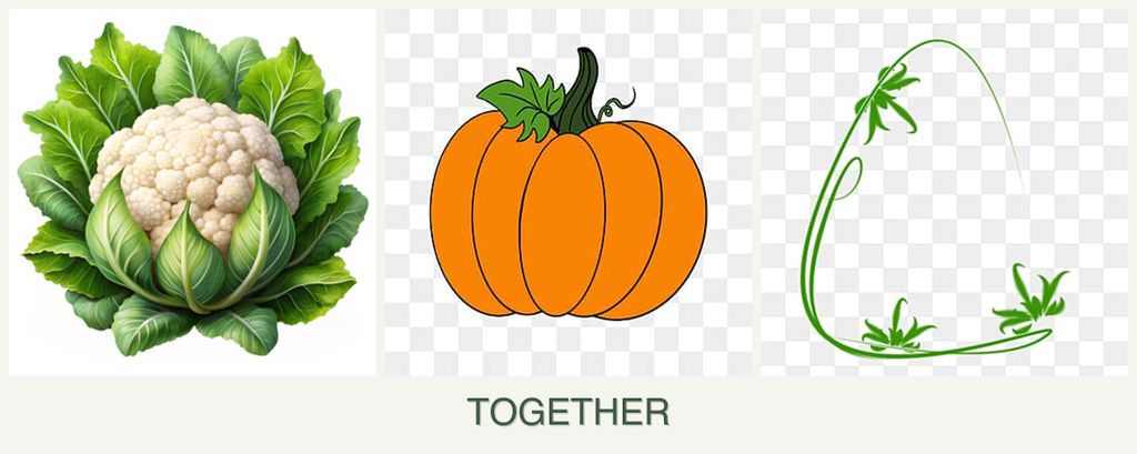 Can you plant cauliflower, pumpkin and tarragon together?