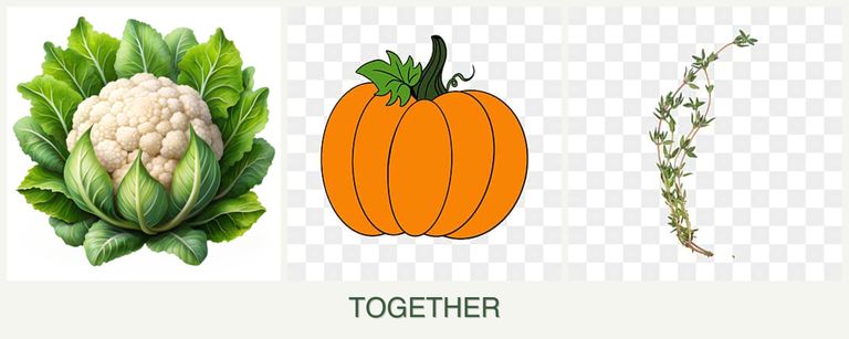 Can you plant cauliflower, pumpkin and thyme together?
