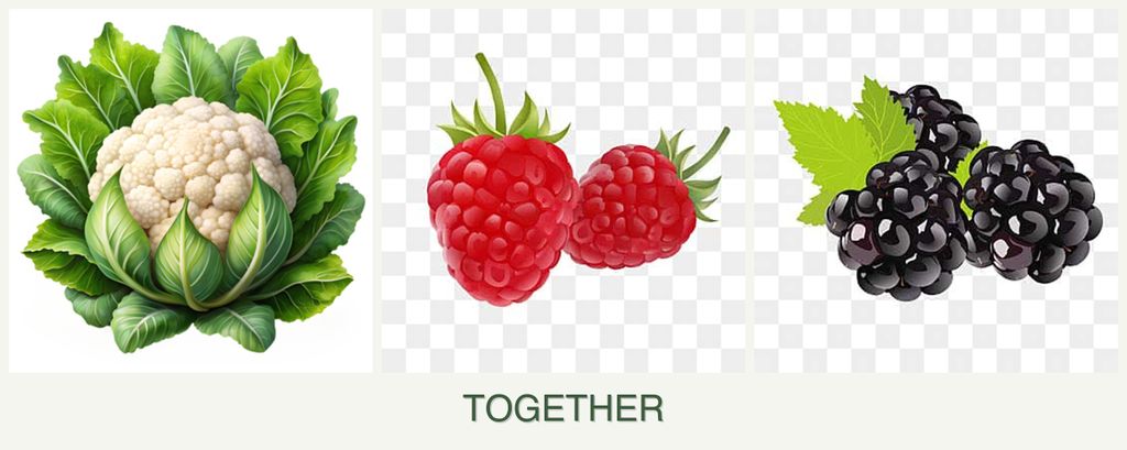 Can you plant cauliflower, raspberries and blackberries together?