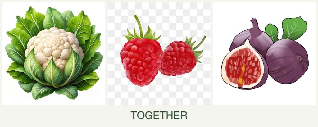 Can you plant cauliflower, raspberries and figs together?