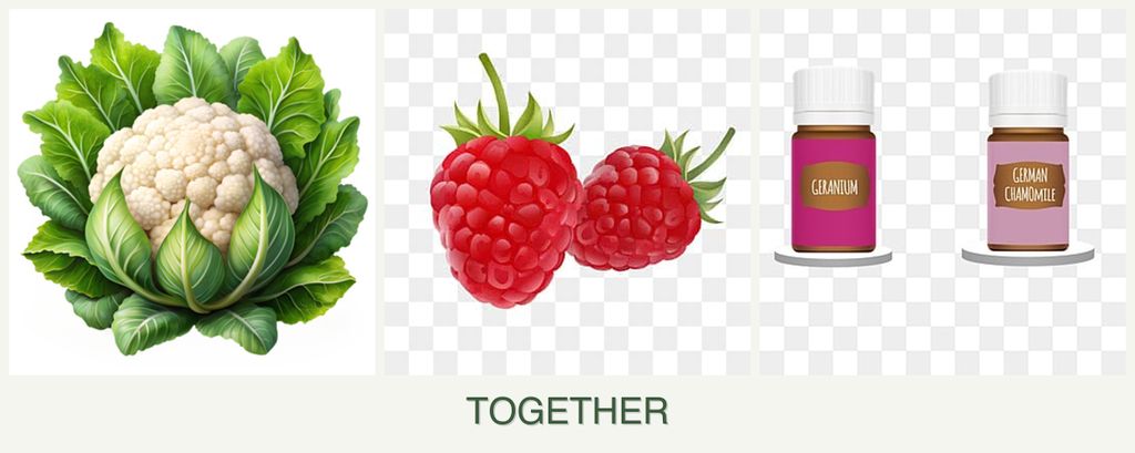 Can you plant cauliflower, raspberries and geraniums together?