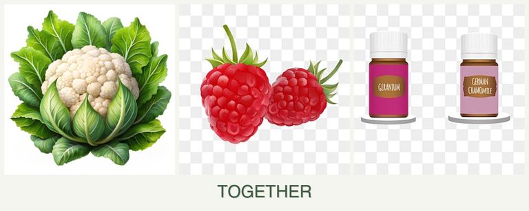 Can you plant cauliflower, raspberries and geraniums together?