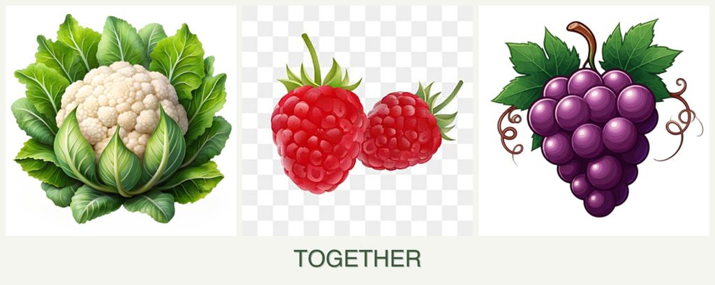 Can you plant cauliflower, raspberries and grapes together?