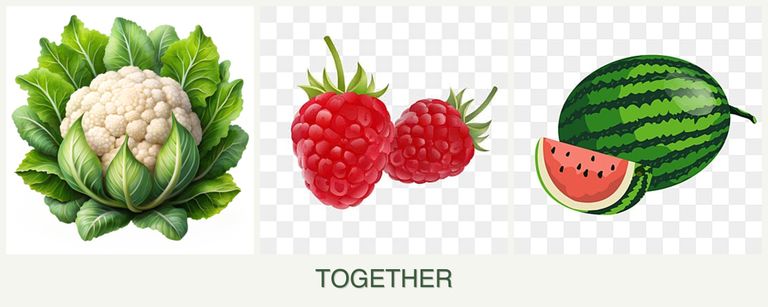 Can you plant cauliflower, raspberries and melons together?