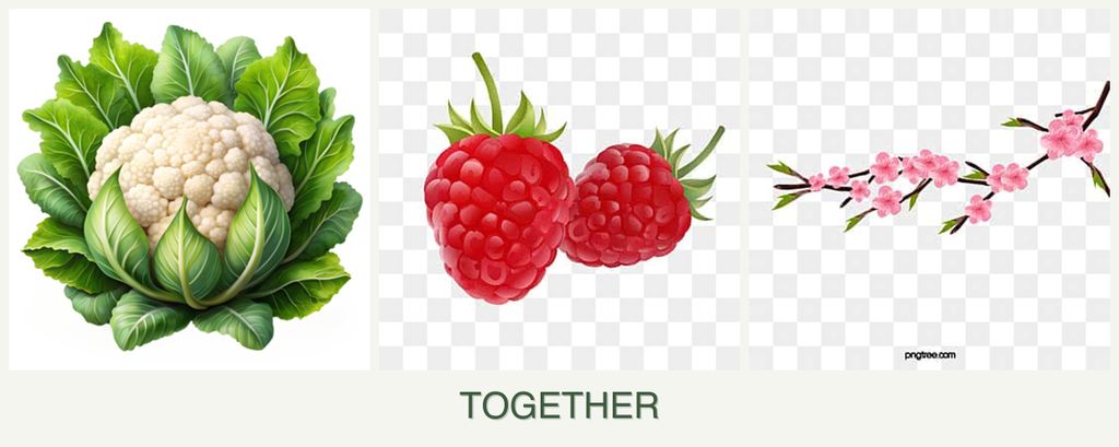 Can you plant cauliflower, raspberries and peaches together?
