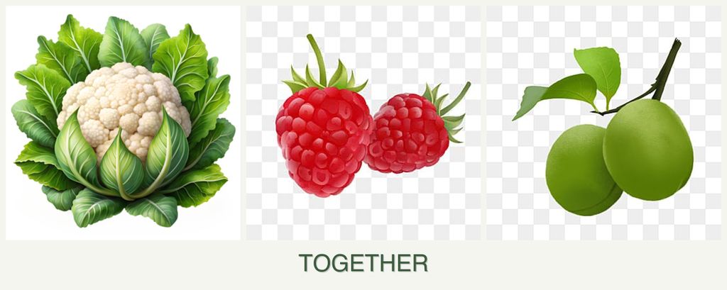 Can you plant cauliflower, raspberries and plums together?
