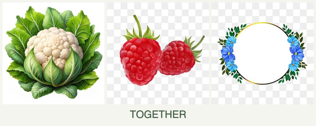 Can you plant cauliflower, raspberries and zinnias together?