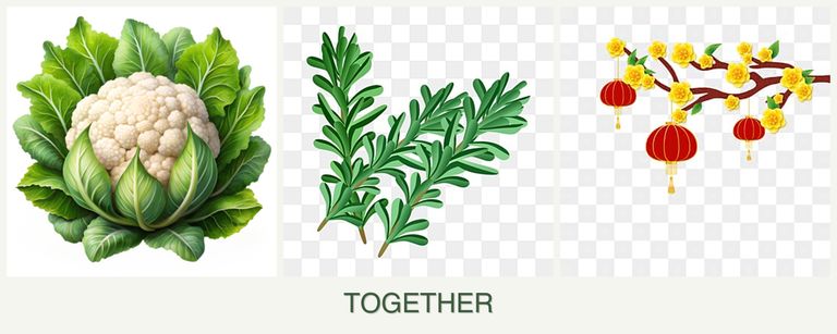 Can you plant cauliflower, rosemary and apricots together?
