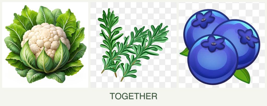 Can you plant cauliflower, rosemary and blueberries together?