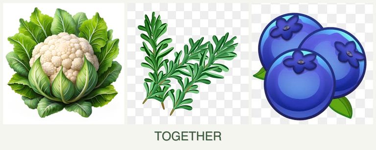 Can you plant cauliflower, rosemary and blueberries together?