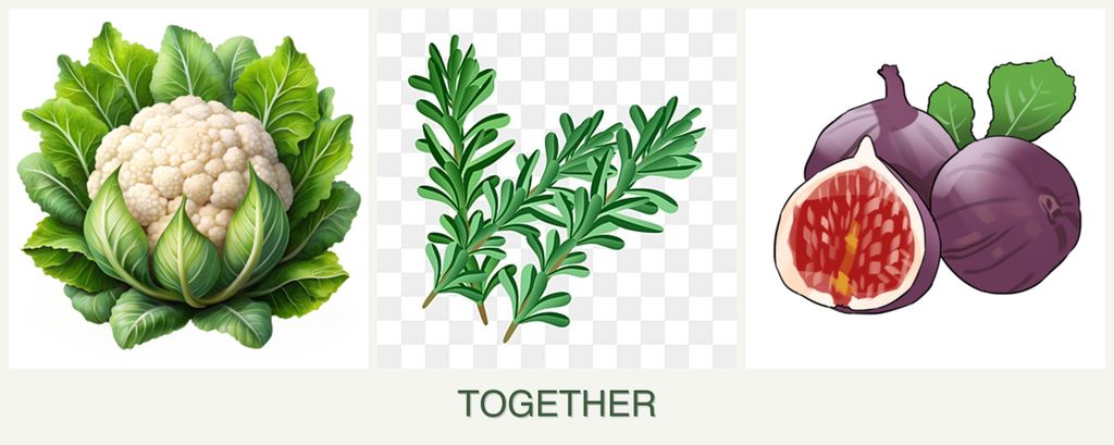 Can you plant cauliflower, rosemary and figs together?