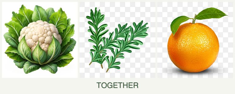 Can you plant cauliflower, rosemary and oranges together?