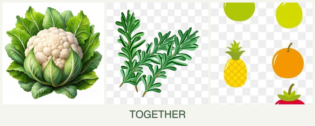Can you plant cauliflower, rosemary and pears together?