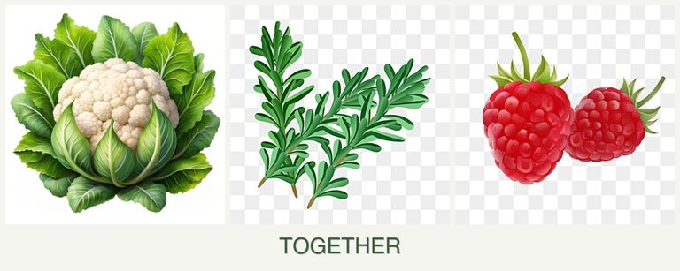 Can you plant cauliflower, rosemary and raspberries together?