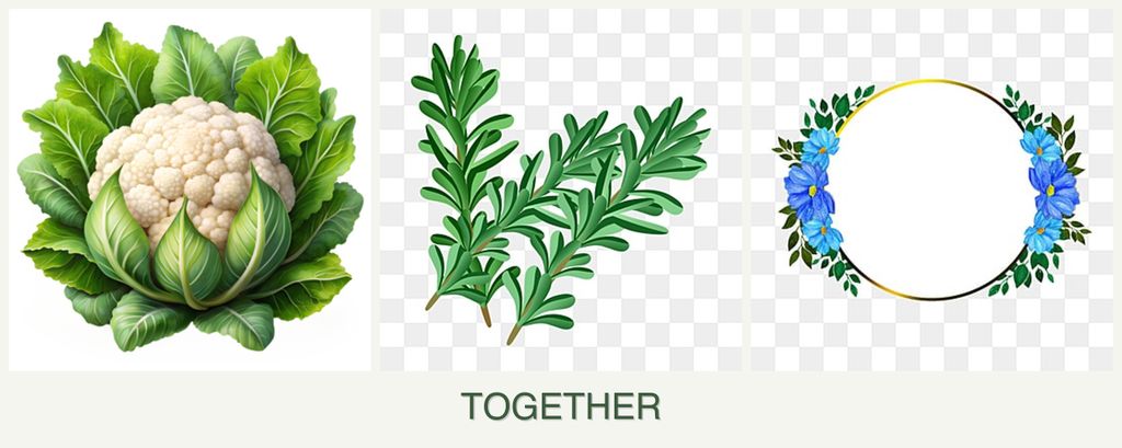 Can you plant cauliflower, rosemary and zinnias together?